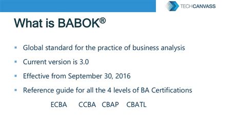 Business Analysis Core Concepts Model Baccm