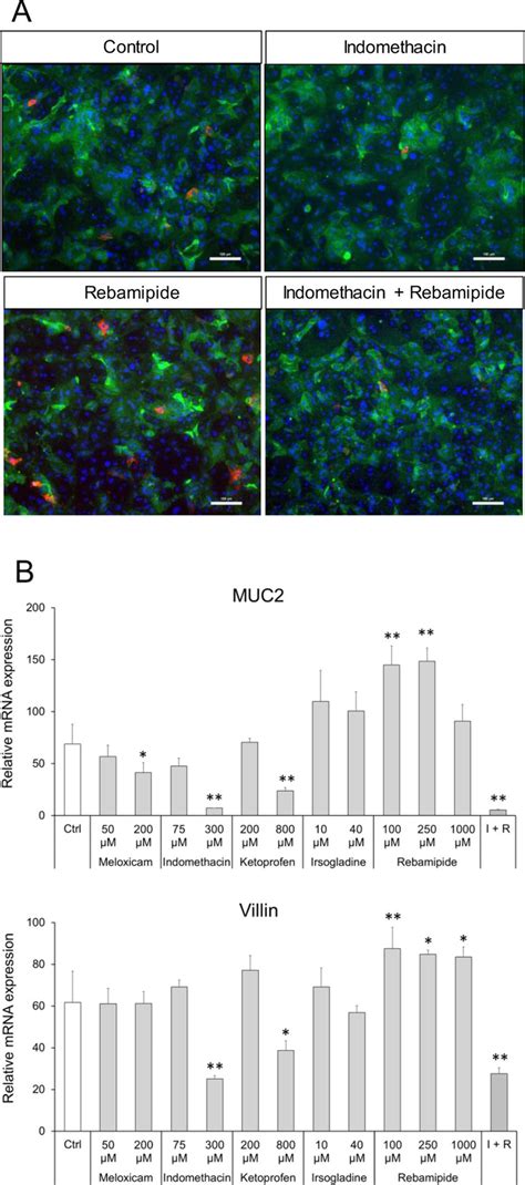 Effects Of NSAIDs On The Expression Of MUC2 And Villin In Intestinal