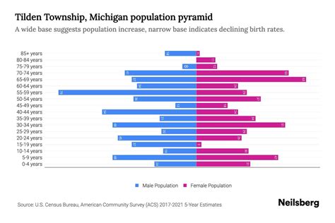 Tilden Township, Michigan Population by Age - 2023 Tilden Township, Michigan Age Demographics ...