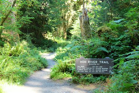 Hoh River Trail | Natural Atlas