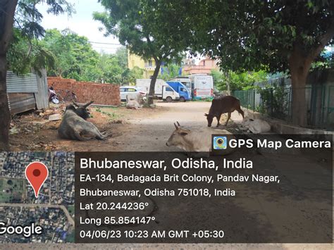 Bhubaneswar Buzz On Twitter RT Lopamishra12 BBSRBuzz Bmcbbsr