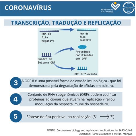 Biologia E Replica O Do Coronav Rus Implica Es Para Sars Cov