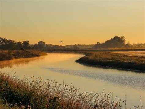 Crane Sunrise A Lone Sandhill Crane Flew Across Sunrise In Flickr