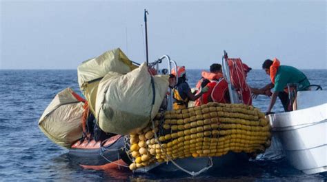 Sbarco Anticipato Per La Ocean Viking Che Ha Salvato Naufraghi La