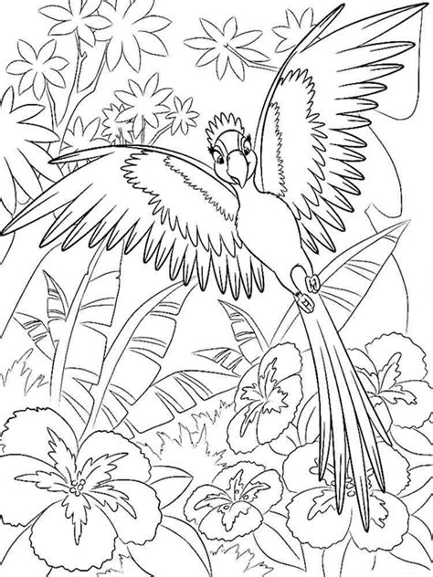 Macaw Coloring Pages Download And Print Macaw Coloring Pages