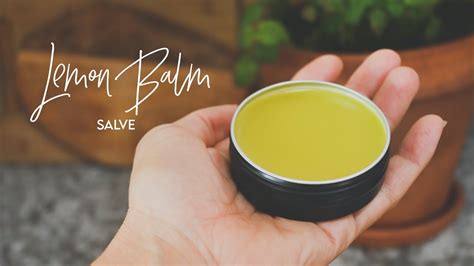 How To Make A Healing Lemon Balm Salve Easy Recipe Youtube