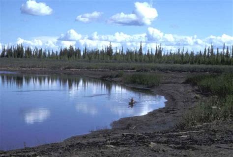 Free picture: kayaking, combat, fishing, Kenai, river