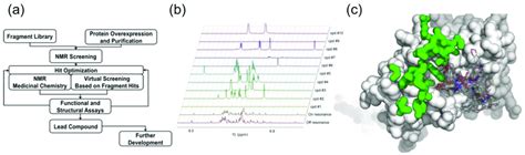 Nmr Fragment Based Virtual Screening A Schematic Representation Of