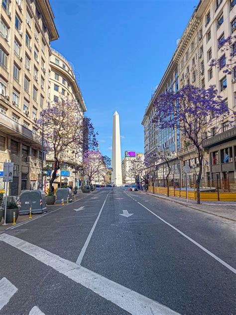 Jacaranda Season In Buenos Aires En 2023 Buenos Aires Turismo Buenos