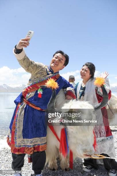 2489 Yak China Stock Photos High Res Pictures And Images Getty Images