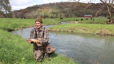 Trout Provide Optimism In Wisconsins Driftless Area