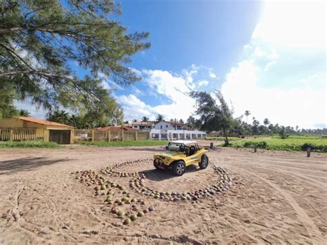 Passeio De Buggy Em Maragogi Maragogi Vip Tur