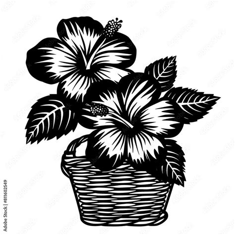 Flower Svg Hibiscus Svg Tropical Flower Svg Hawaiian Flower Svg