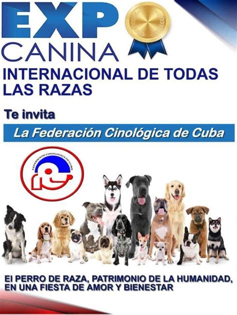 En La Habana Exposición Canina Internacional fotos