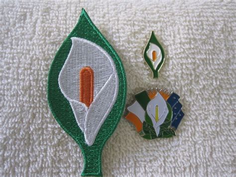 Easter Lily 3pc Set Patch And Badges Irelands Tri Color Sunburst