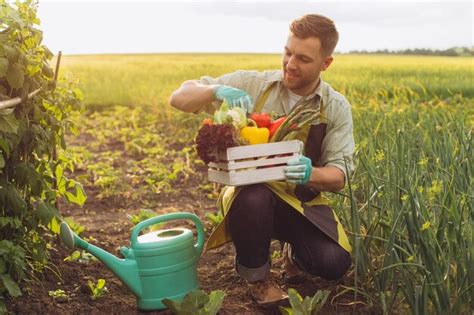 Homem Agricultor Feliz Segurando Cesta Legumes Frescos E