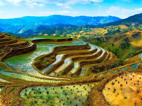 Banaue Rice Terrace In Indonesia Blue Green Terrace Water Trees