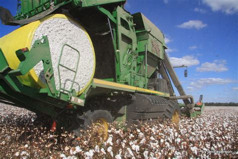 Cotton Picker And Harvest In Action Photo Essay Hundred Percent Cotton