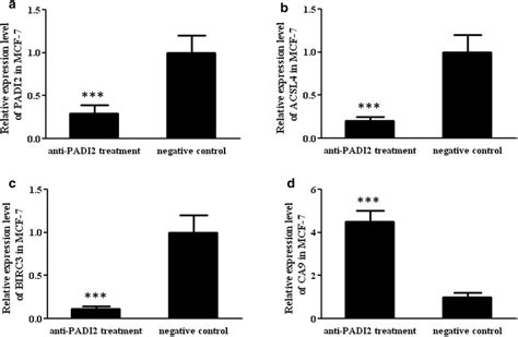 Determination Of The Mrna Expression Levels Of Padi2 Acsl4 Bicr3 And