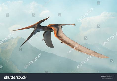 Pteranodon Flies Air Over Prehistoric Valley Stok İllüstrasyon