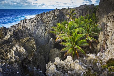 Niue A Debt Free Paradise Island In The Heart Of The South Pacific