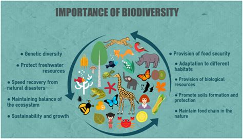 Topic Analysis Of Kunming Montreal Global Biodiversity Framework