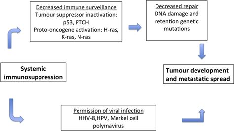 High Risk Cutaneous Malignancies And Immunosuppression Challenges For