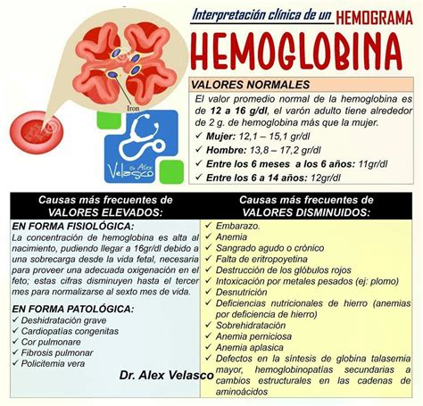 Mapa Mental Hemoglobina Hematocrito Udocz Porn Sex Picture