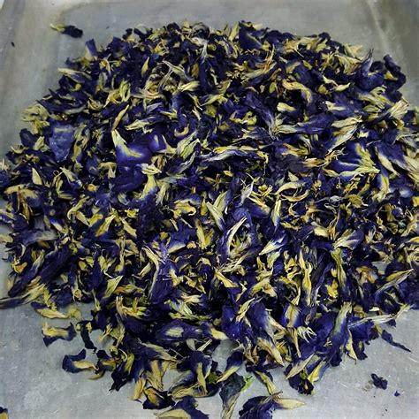 DRIED BLUE BUTTERFLY PEA FLOWER BUNGA TELANG KERING 干蓝蝶豆花 25g 50g