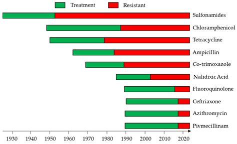 Ijms Free Full Text Toward A Shigella Vaccine Opportunities And Challenges To Fight An