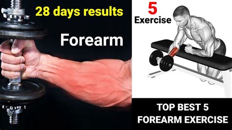 The Perfect Forearm Workout 5 Best Exercises Fitness Workout YouTube