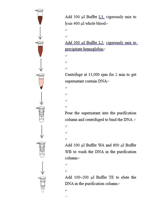 Blood DNA Mini Kit Forest Specialiezed In The Molecular Biology