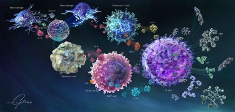 Gaucher Disease Diagram - Geras Healthcare Productions