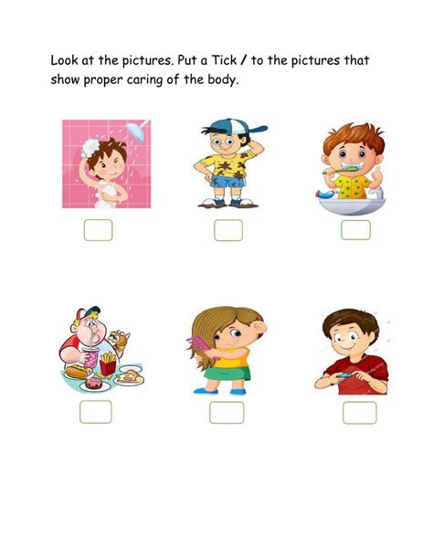 Caring For The Body Interactive Worksheet Human Body Worksheets