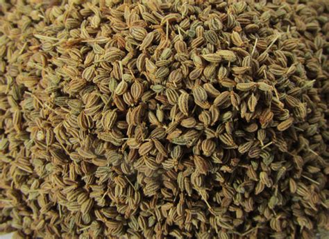 Ajwain Seeds – Varsha Industries