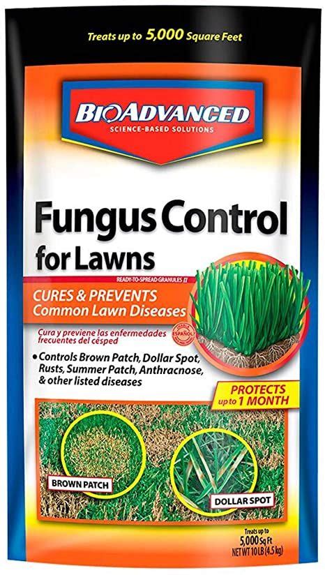 Bioadvanced Fungus Control For Lawns Granules 10 Lb The Cure Fungi Fungicide