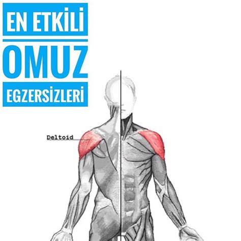 EN ETKİLİ OMUZ EGZERSİZLERİ Omuz Kaslarınızı Etkili Bir Şekilde