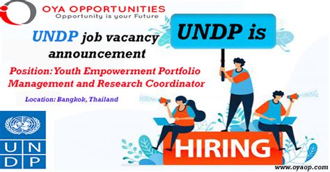 Youth Empowerment Portfolio Intern Coordinator At Undp Oya