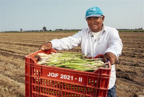 Per Exportaciones Agropecuarias Crecieron En Octubre