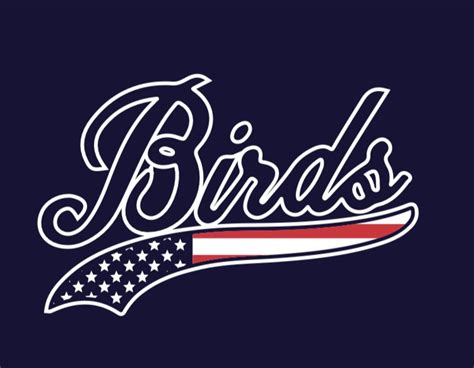 National Championship Sports Baseball Birds Baseball Academy 11u