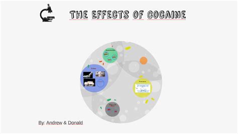 The Effects of Cocaine by on Prezi