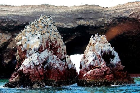 Excursion Dune Journée Mini Île Galapagos Palomino Avec Visite De La