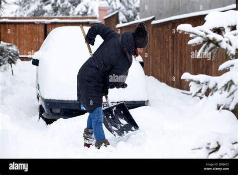 Woman With Shovel Cleaning Snow Aeound Car Winter Shoveling Removing