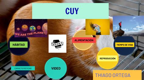 Cuy Thiago By Cuartob Primaria On Prezi