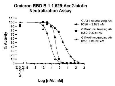 Spike S Rbd B Ba Omicron Variant Sars Cov Ace