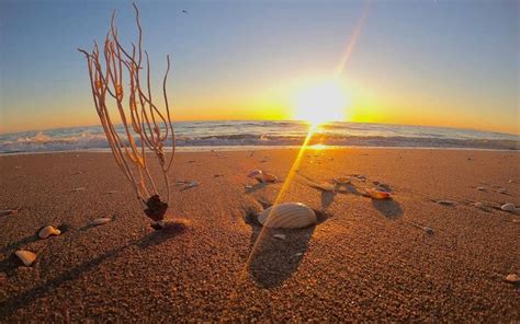 Playa El Cardonal C Mo Llegar Y A Cu Ntos Kil Metros Est De