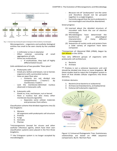 Chapter 1 Evolution Of Microorganisms And Micobiology