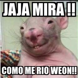 Meme Personalizado Jaja Mira Como Me Rio Weon 21579694