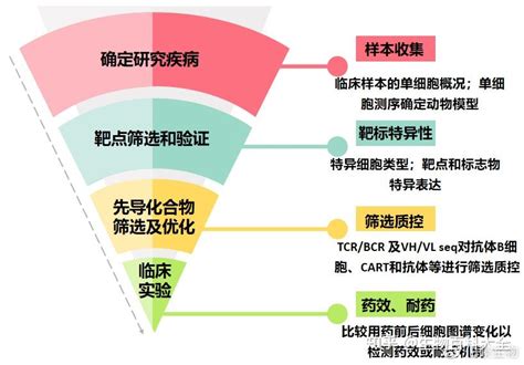 单细胞测序在药物研发中的应用 知乎