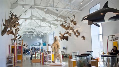 Natural History Museum of Los Angeles County, South LA, Los Angeles ...